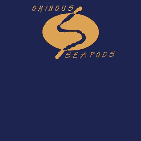 SHOW REVIEW: Ominous Seapods @ Valentine’s – 12/17/11