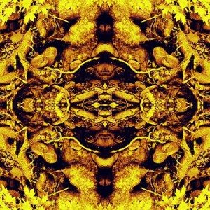 Cover-MOTM-Casal_art