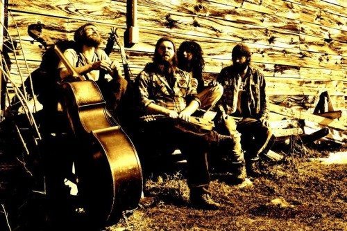 blind owl band