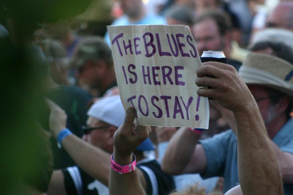 Photo Courtesy Of: http://www.chenangobluesfest.org/2012-photos.html