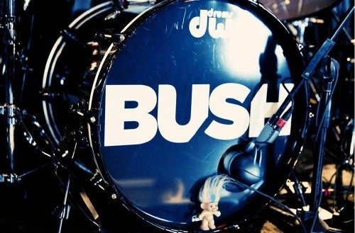 BUSH
