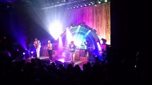 dr dog
