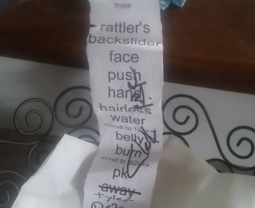 Toadies setlist 6-26-15