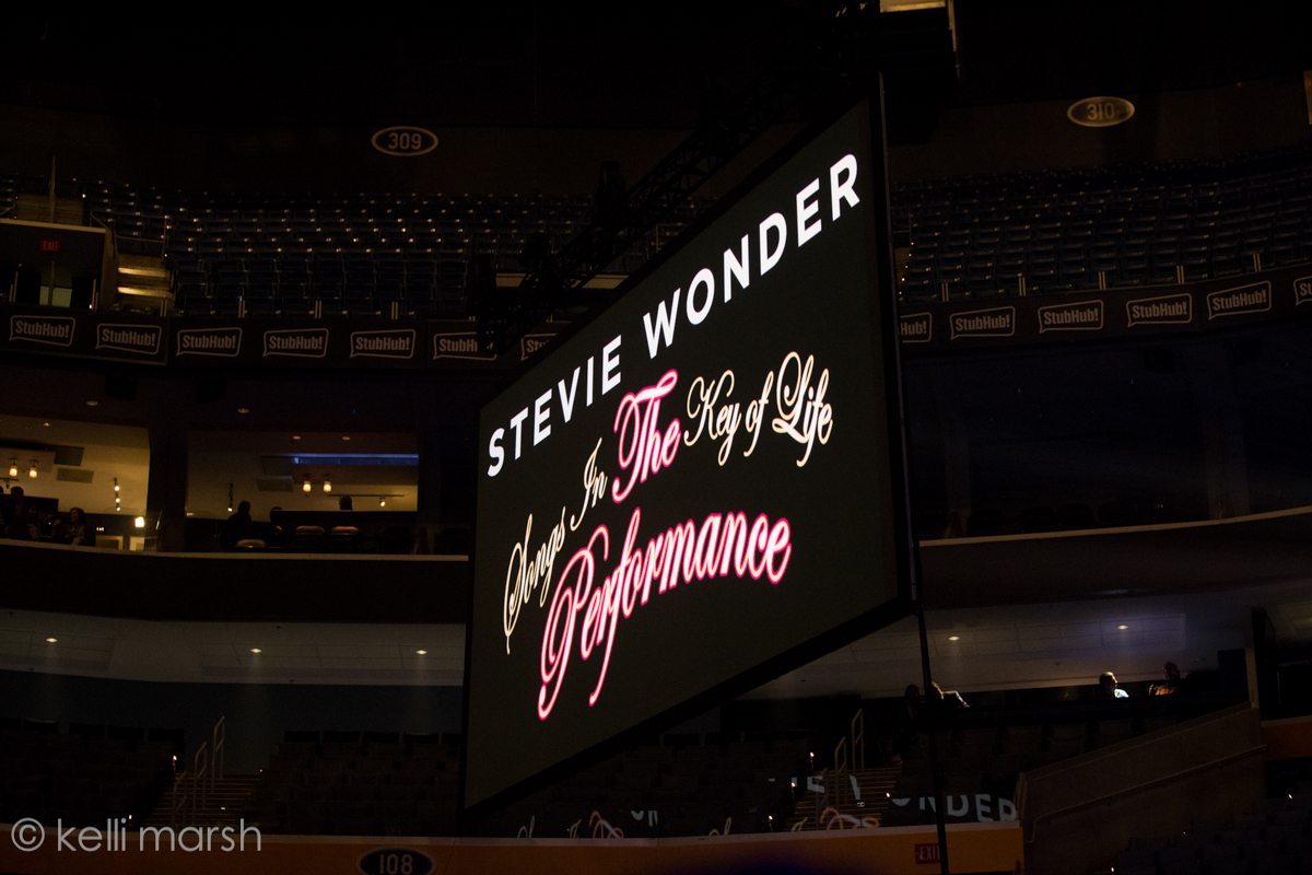 Kelli_Marsh_Stevie Wonder-1002