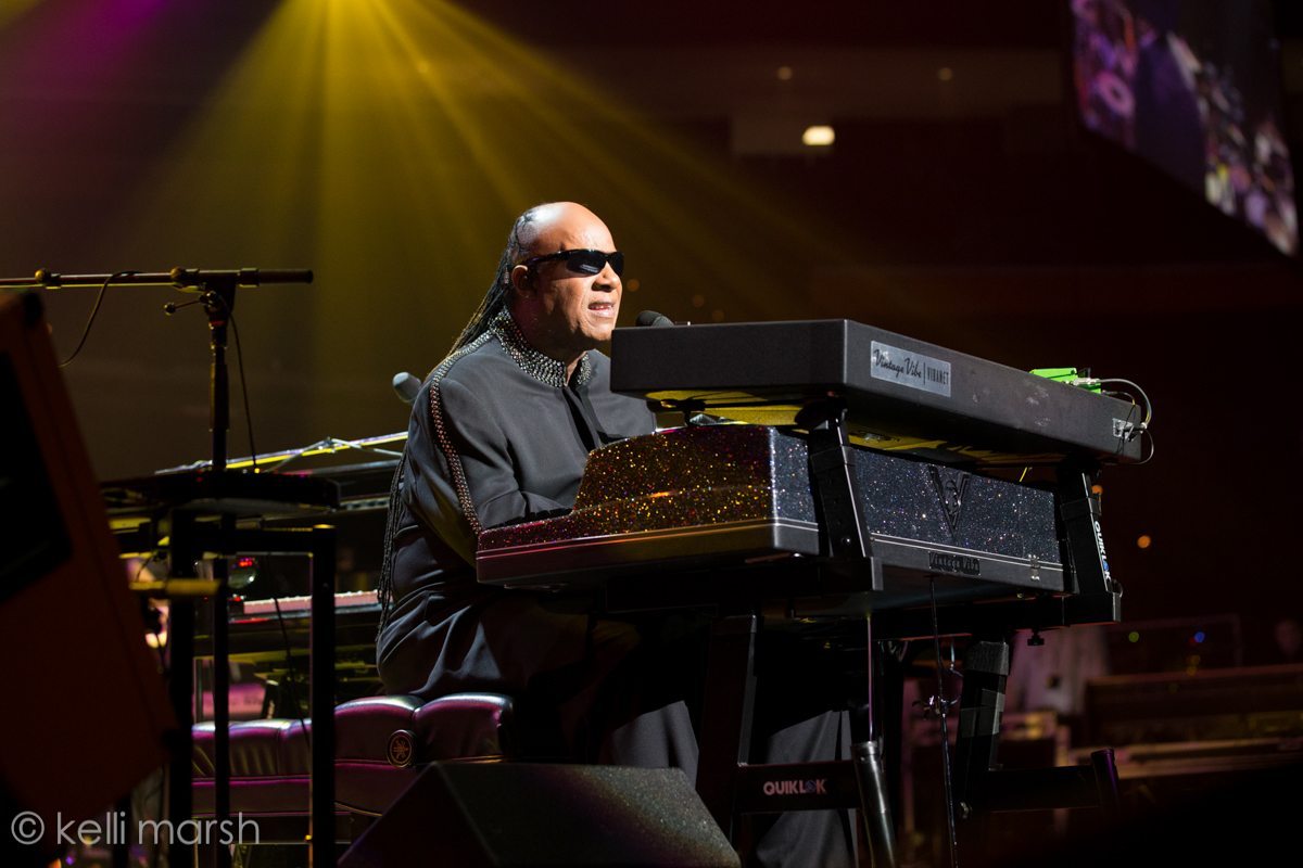 Kelli_Marsh_Stevie Wonder-1011