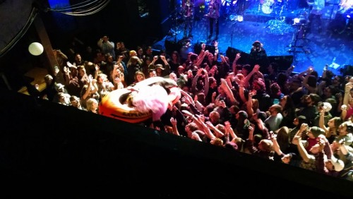 Rubblebucket-WaterStreet-10216-2