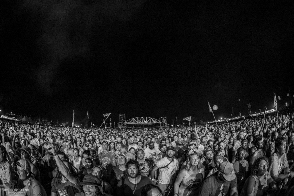 DaveDeCrescente_Lockn2016-9