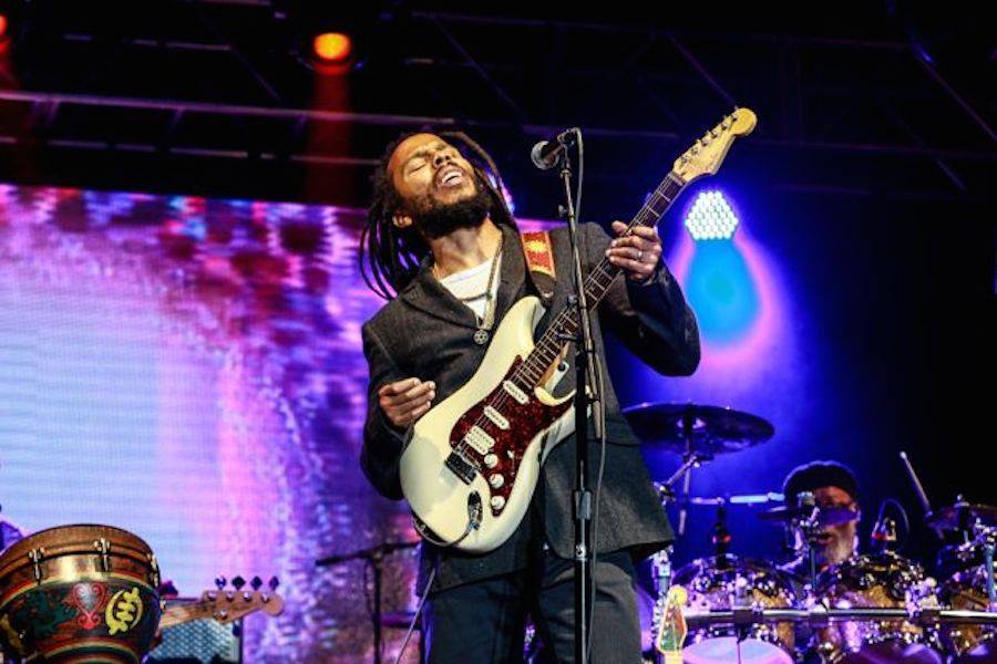 ziggy marley fly rasta