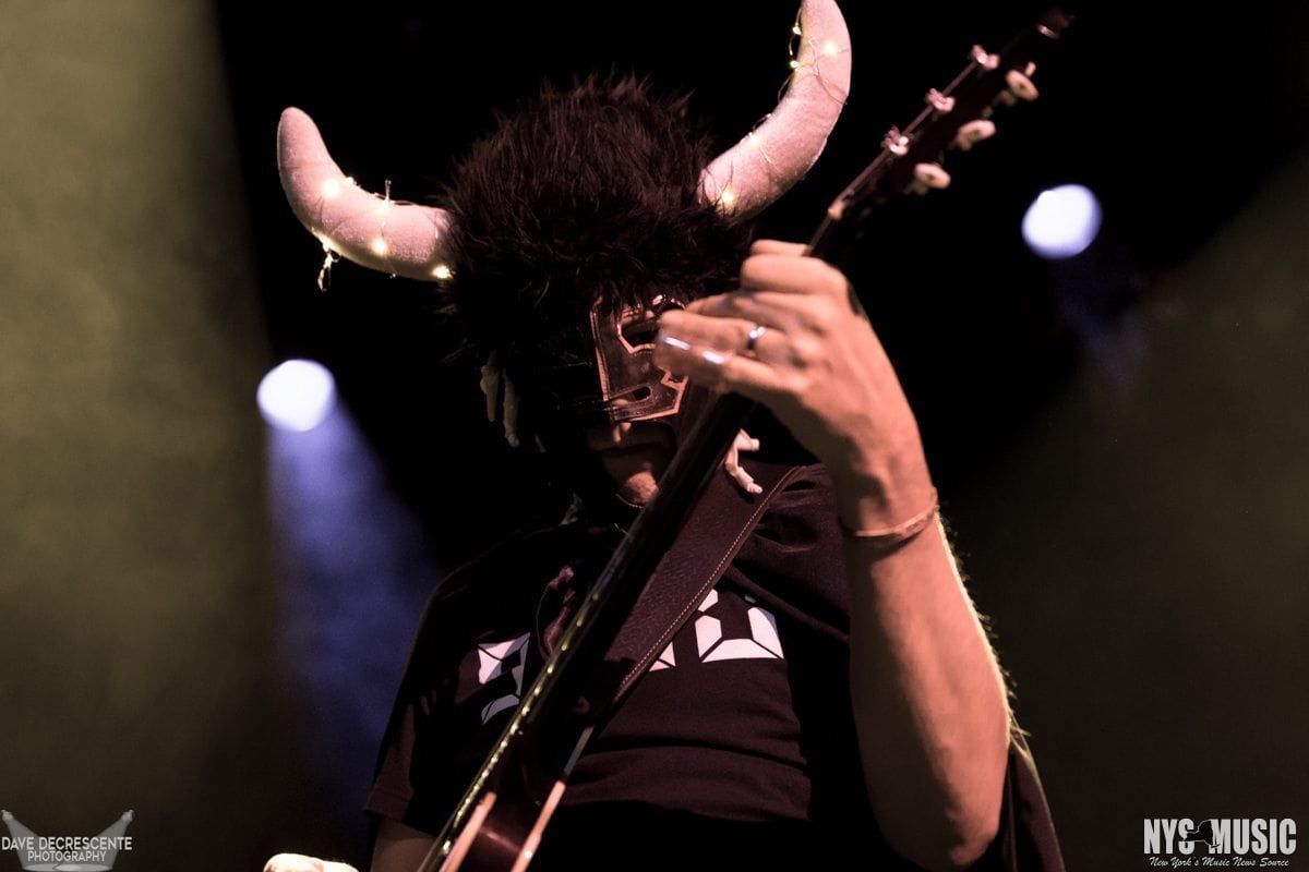 Ha Ha the Moose 