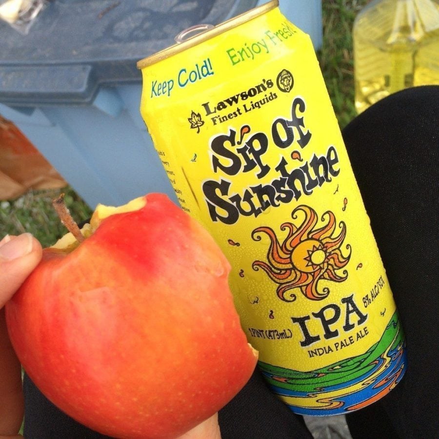 fest food magnaball