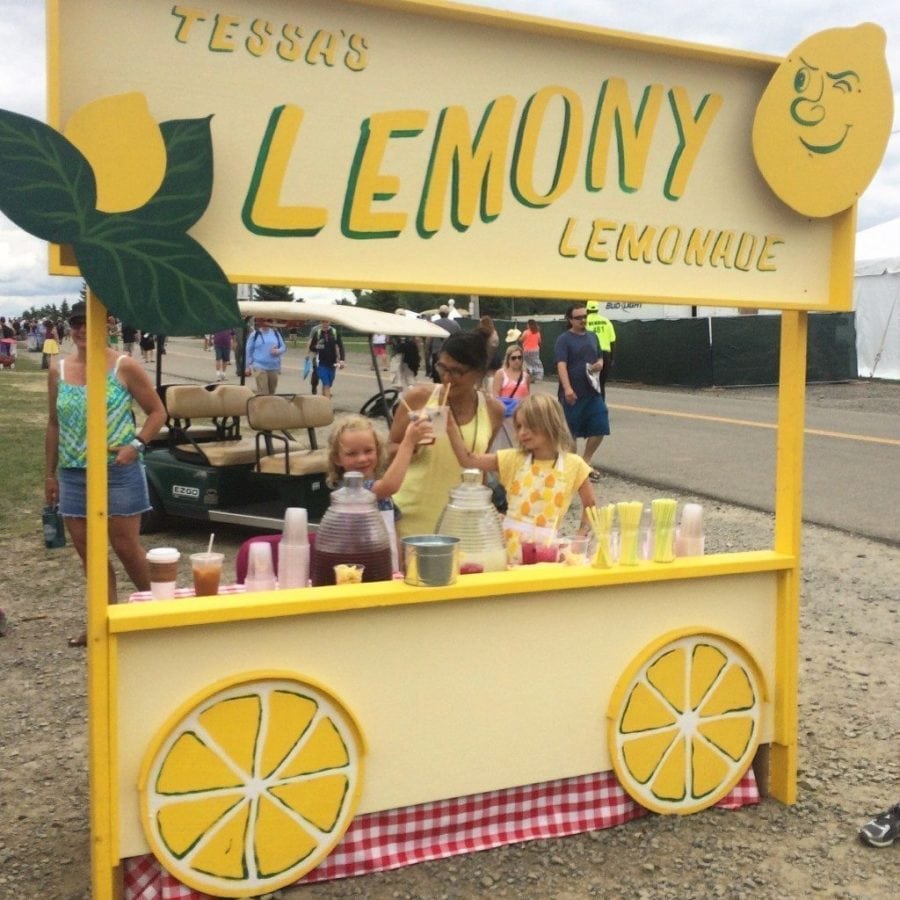 fest food magnaball