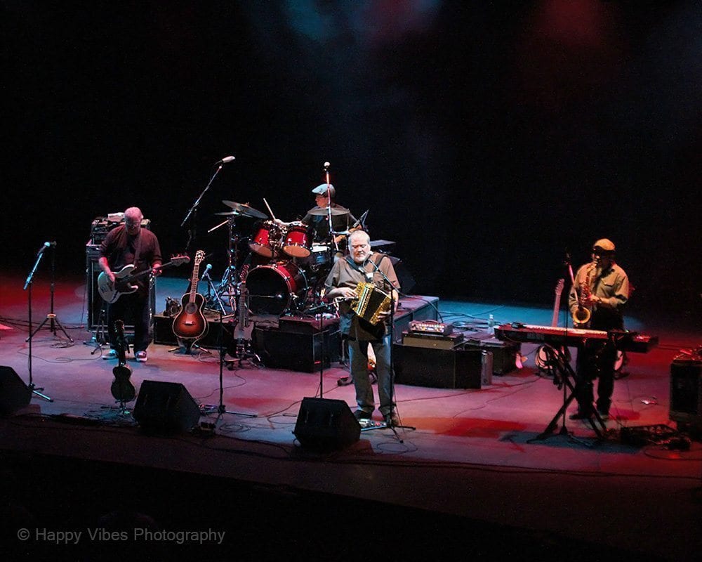 Los Lobos Albany