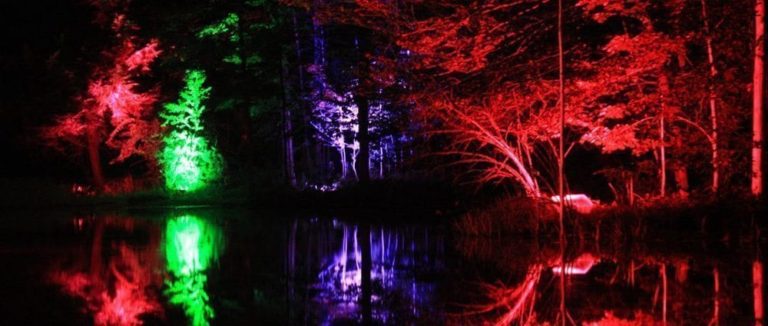 Night Lights 