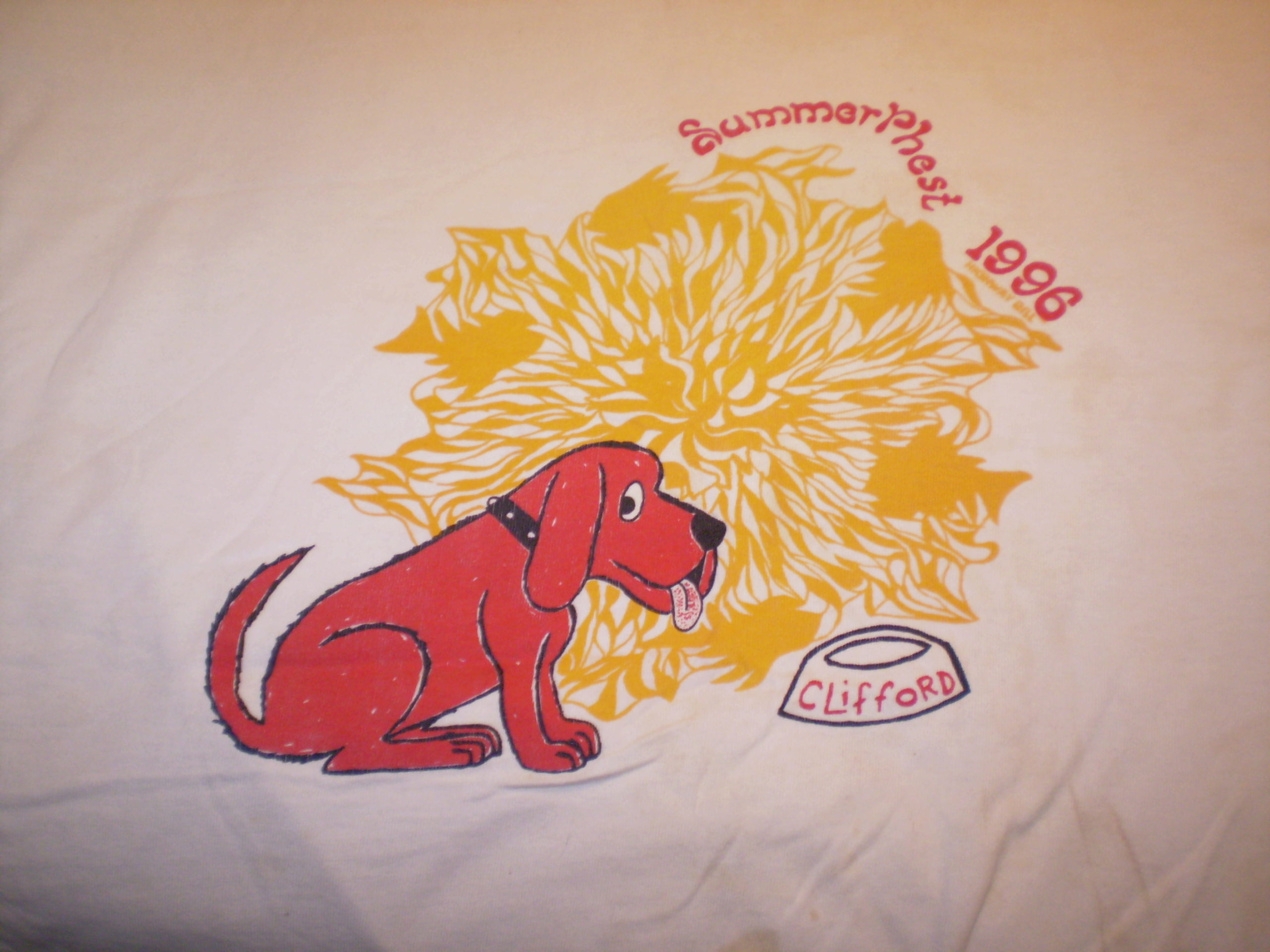 Phish Clifford Ball