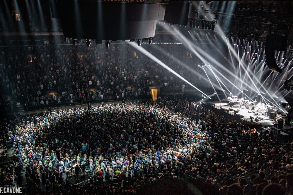 phish the garden
