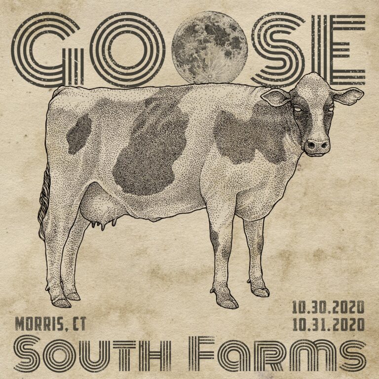 Goose halloween